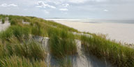 Terschelling, Düne
